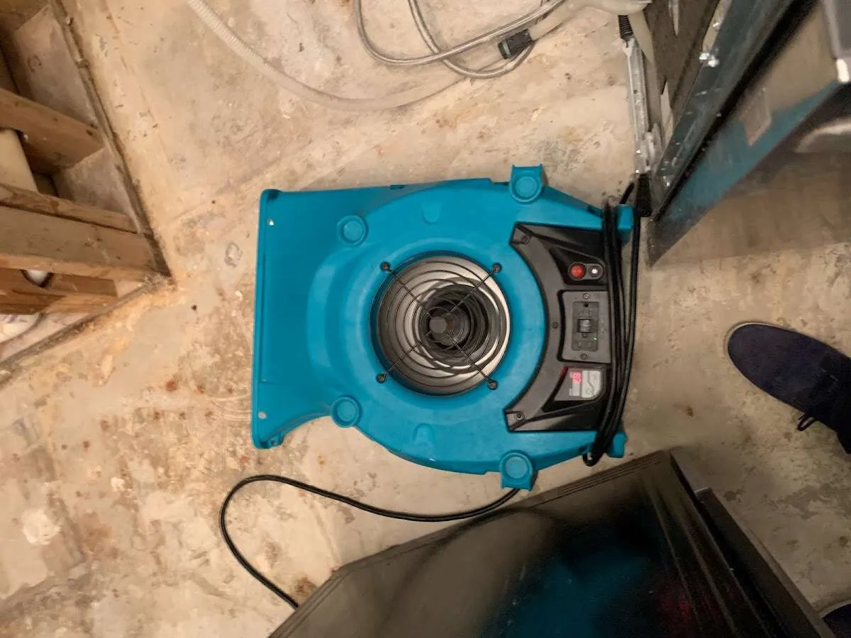 Air mover drying equipment for Mold Remediation & Removal in Lower Providence